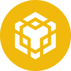 BNB icon